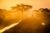 Car Tour Africa 10 days